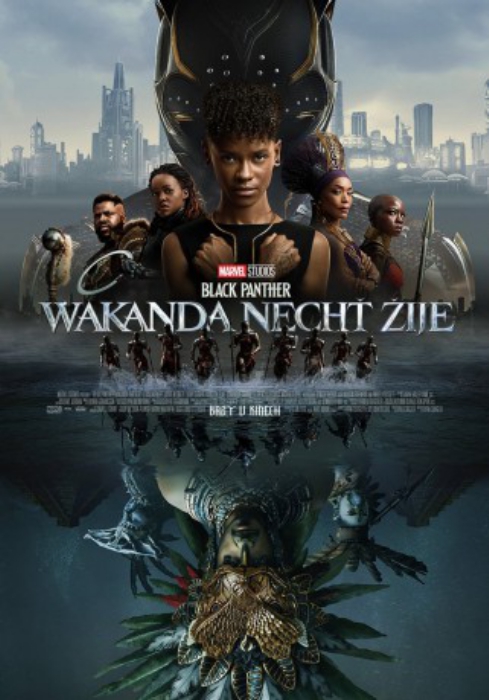 poster Black Panther: Wakanda Forever&nbsp;&nbsp;(2022)