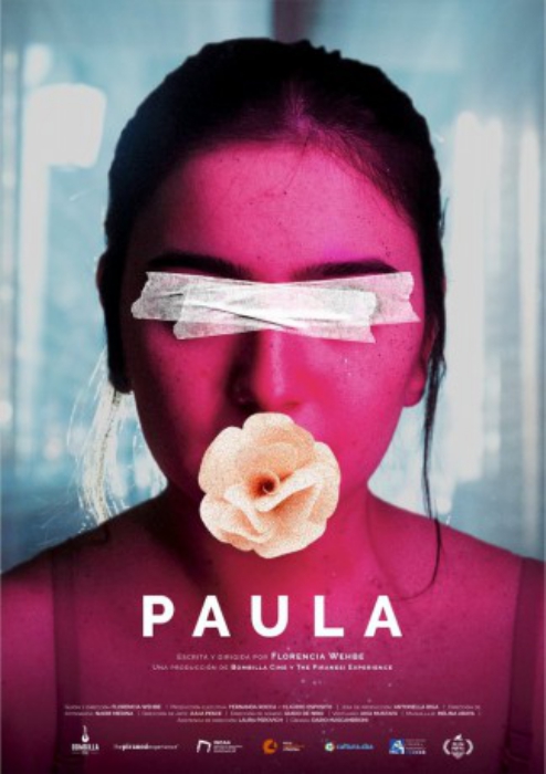 poster Paula&nbsp;&nbsp;(2023)