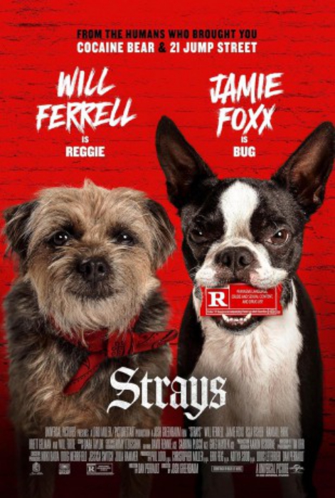 poster Strays&nbsp;&nbsp;(2023)