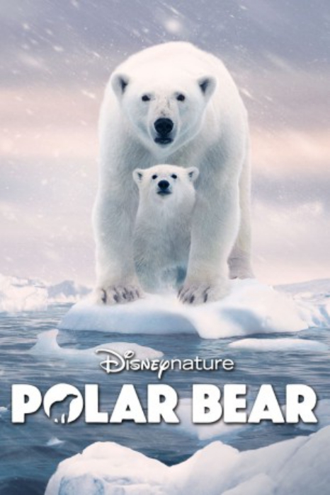 poster Polar Bear&nbsp;&nbsp;(2022)