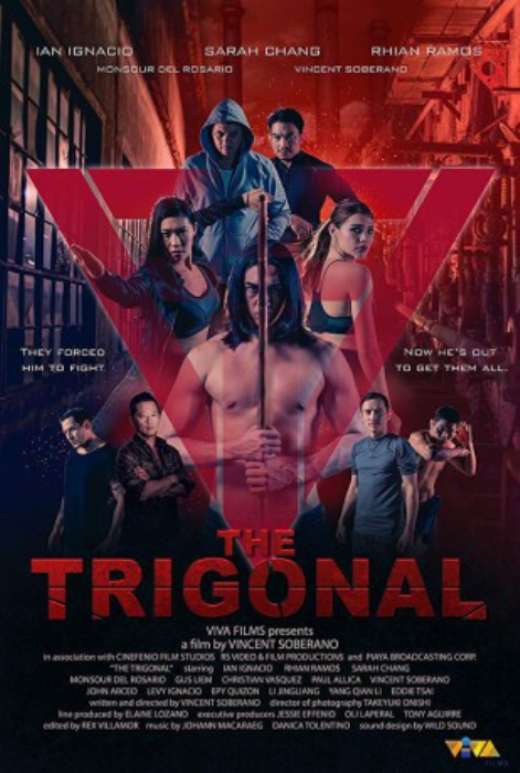poster The Trigonal: Fight for Justice&nbsp;&nbsp;(2018)